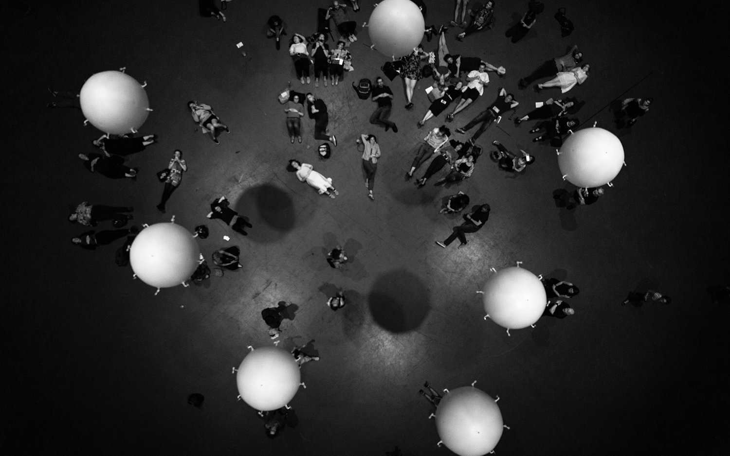 Zoological and the meaning of movement